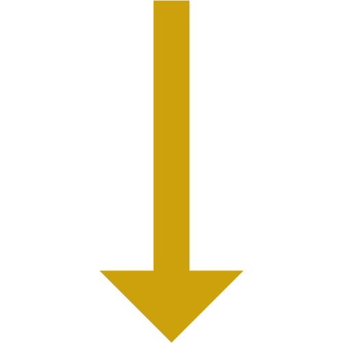seta